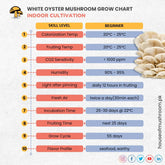 White Oyster Mushroom Grow Kit 2.5kg